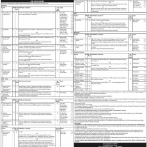 Non Teaching And Teaching Vacancies In WAPDA Through OTS Govt Jobs Employees Galaxy World