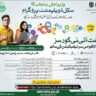 CM Punjab Skill Development Program Free IT Courses 2024