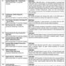 Contractual and Lump Sum Based NTU Faisalabad Vacancies 2024
