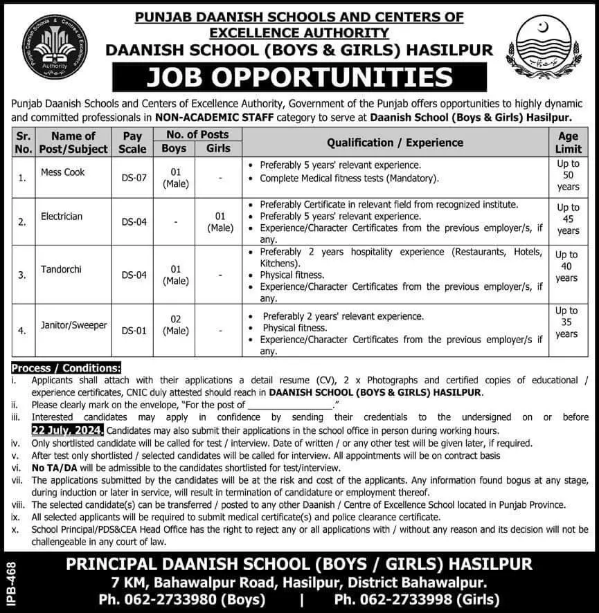 Jobs at Punjab Danish Schools 2024 Hasilpur