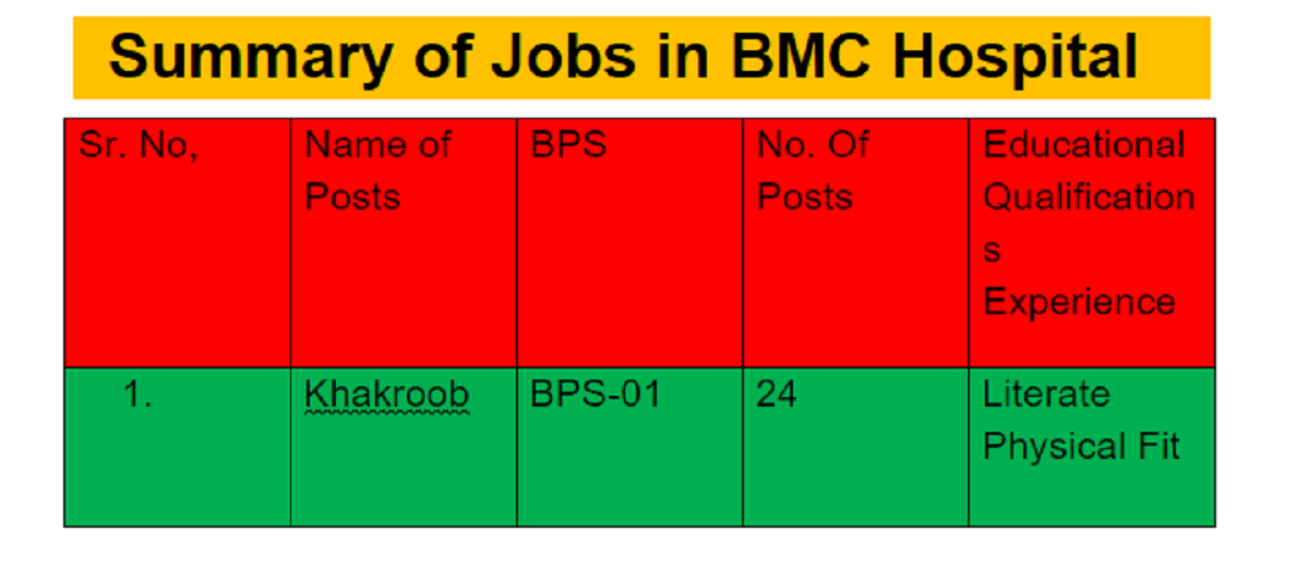 Sanitary Workers (BPS-01) Jobs in Bolan Medical Complex Hospital Quetta