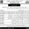 Visiting Faculty Teaching Staff Vacancies in GCT Sangla Hill