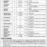 BPS-01 to BPS-15 Vacancies in NIRM 2024