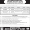 CPI Ministry of Human Rights Vacancies 2024