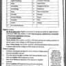 Visiting Faculty Vacancies 2024 in WU Multan