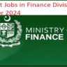 Finance Divivison Jobs September 2024