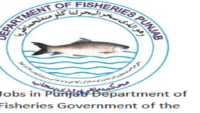 Jobs in Punjab Department of Fisheries Government of the Punjab 2024