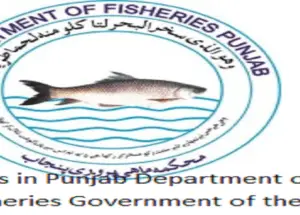 Jobs in Punjab Department of Fisheries Government of the Punjab 2024