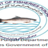 Govt Jobs in Fisheries Department 2024