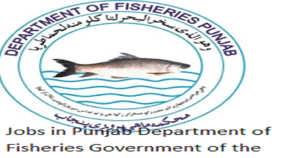 Jobs in Punjab Department of Fisheries Government of the Punjab 2024