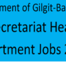 Government of Gilgit-Baltistan GB Secretariat Health Department Jobs 2024