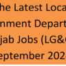 LG&CD Department Punjab Jobs 2024