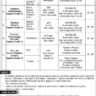 Teaching Jobs in Rawalpindi Islamabad Army Public School 2024