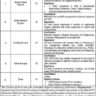 The Latest Contractual Vacancies 2024 in CMDP of Dera Bugti