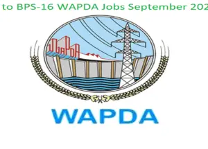 The Latest OTS WAPDA Jobs Sep 2024 BPS-06 to BPS-16