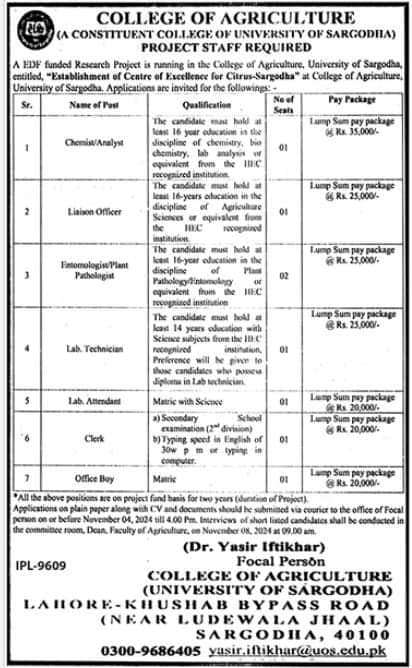 College of Agriculture University of Sargodha Vacancies 2024