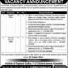 Institute of Regional Studies Islamabad Vacancies 2024