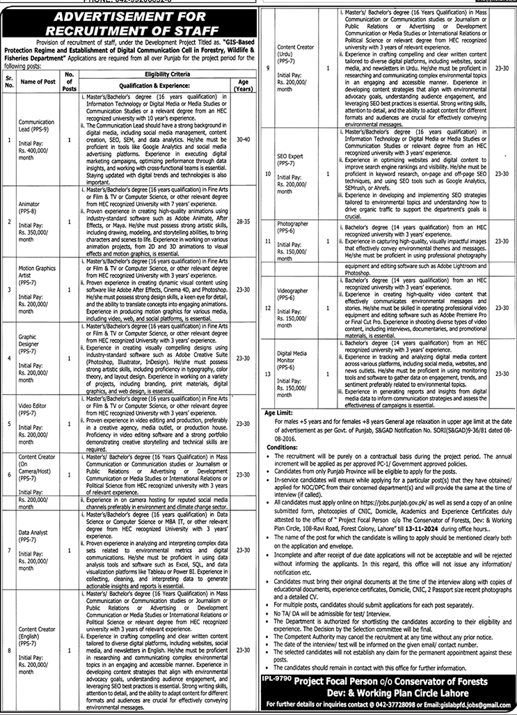 The Latest Project Based Vacancies 2024 Punjab Govt