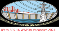 The Latest WAPDA Jobs for Vigilance Staff Oct 2024 for Retired Armed Forces Personals