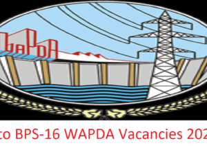 The Latest WAPDA Jobs for Vigilance Staff Oct 2024 for Retired Armed Forces Personals