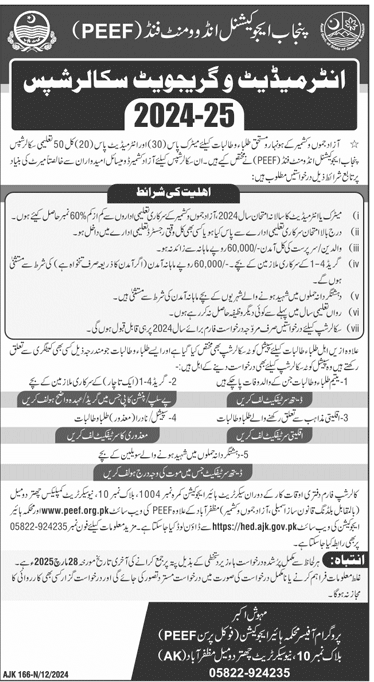 PEEF Punjab AJK Scholarships 