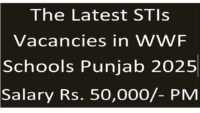 New STIs Jobs Feb 2025 in Workers Welfare Fund Schools Punjab