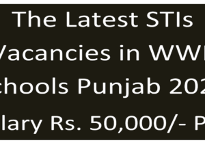 New STIs Jobs Feb 2025 in Workers Welfare Fund Schools Punjab