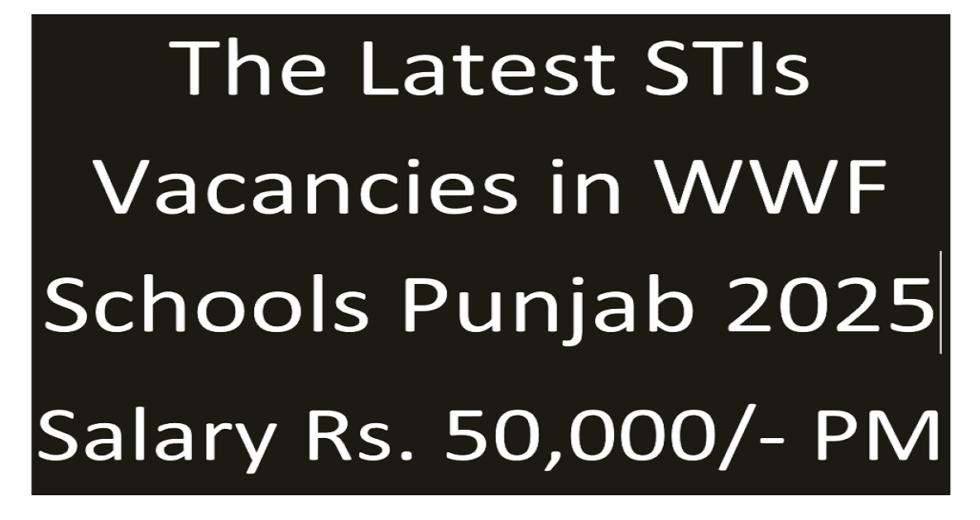 New STIs Jobs Feb 2025 in Workers Welfare Fund Schools Punjab